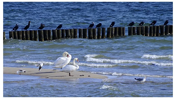 Alles auf einem Foto