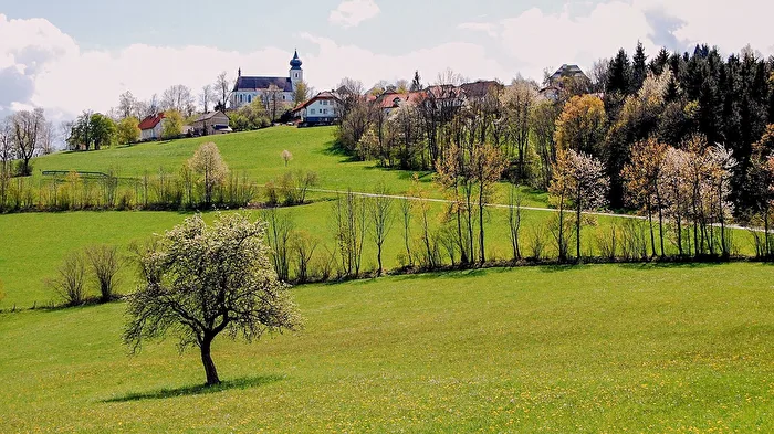 Frühling 1
