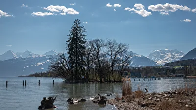Idylle am See