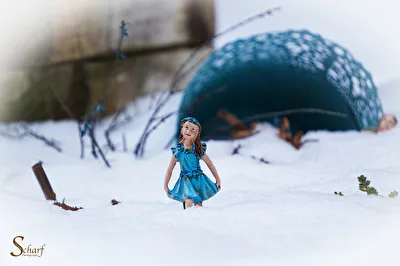 SchneeFee