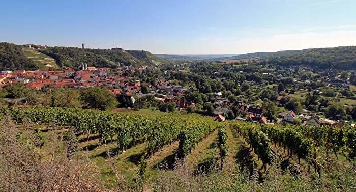 Weinberg beim Heimatblick