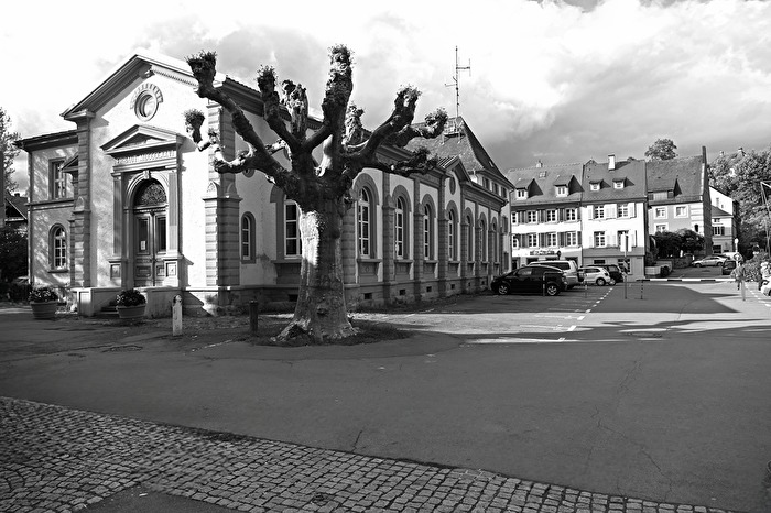 Der kahle Baum