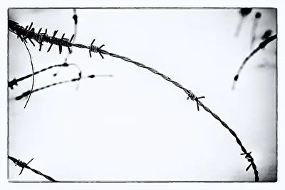 ohne Titel