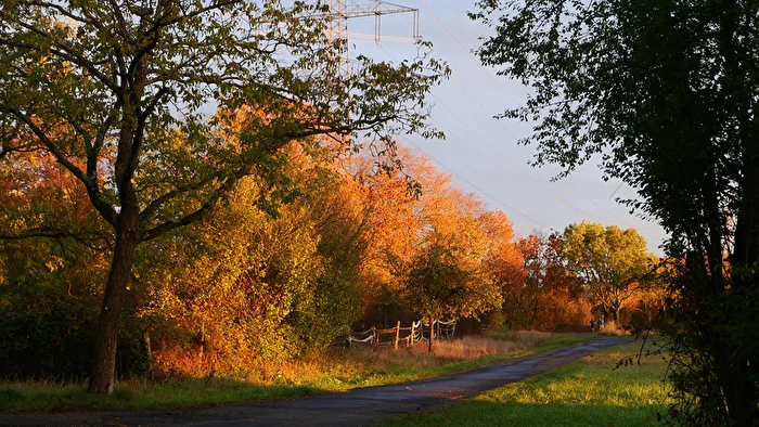 Herbst
