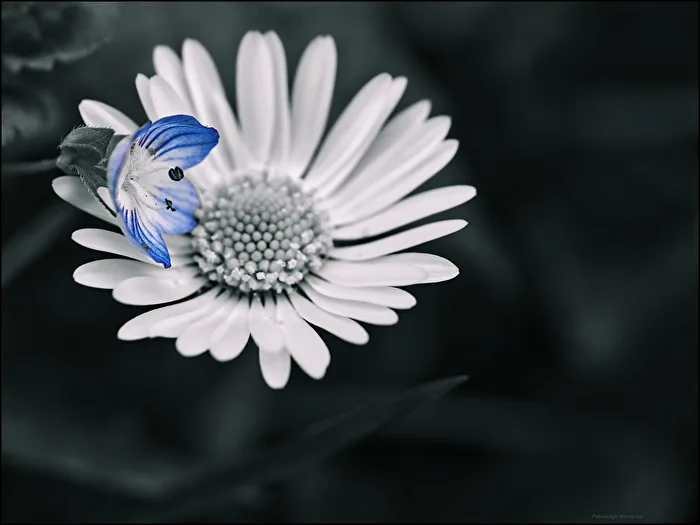blau trifft auf grau