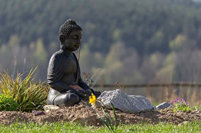 Gedanken über Steine