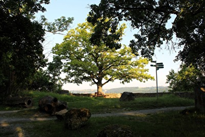 Bänke beim Aussichtspunkt (1)