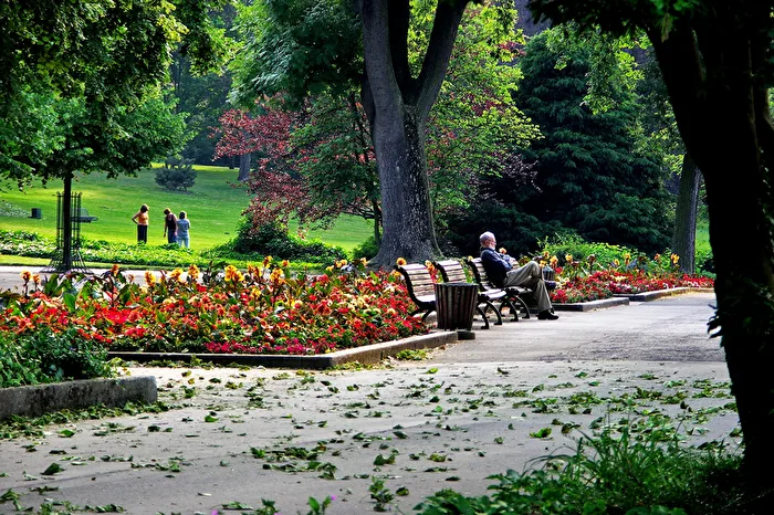 Park - In Mainz City Park