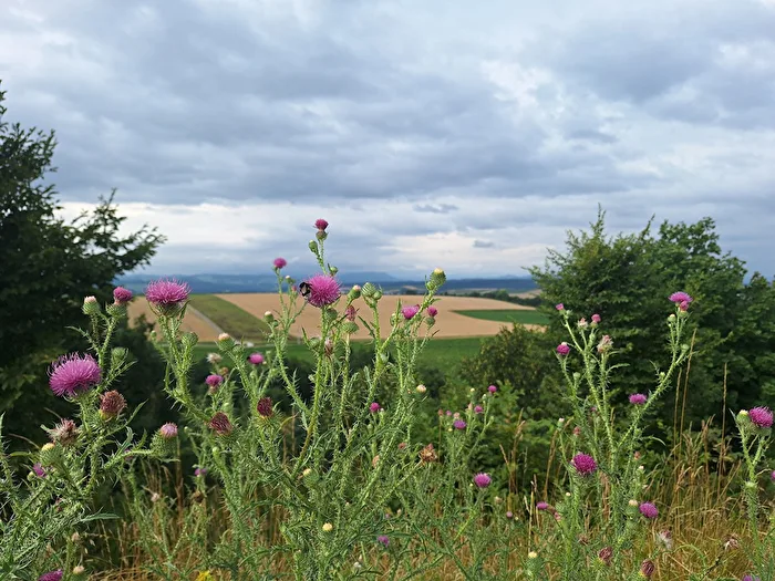 Wolkenspiel