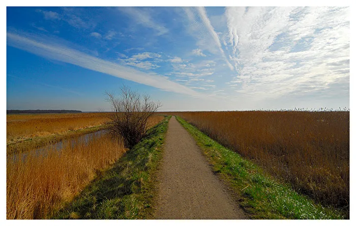 ...on the dike