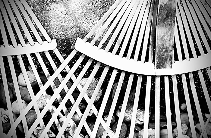 Laubrechen in Wartestellung