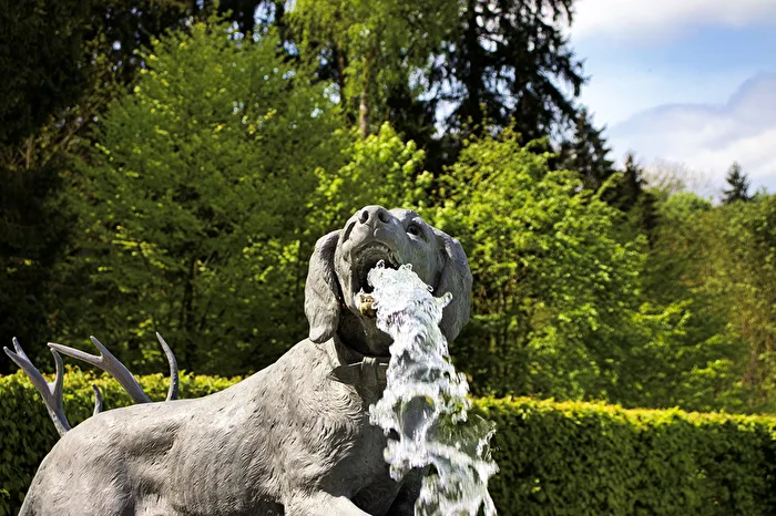 Wasserspeiend