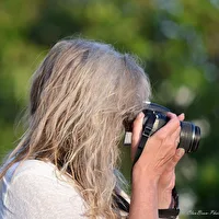 Profilfoto