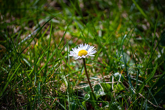 Das Einfache ganz einfach,...