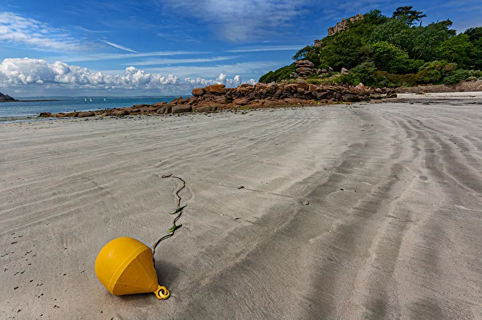 Beach Buoy
