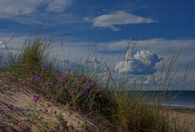 Oliva Novemberstrand