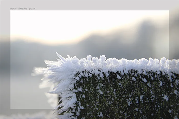 Ice Crystals