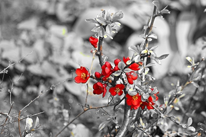 Frühling...
