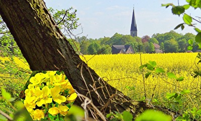 am Dorfrand