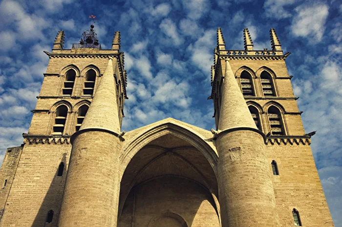 Montpellier 3