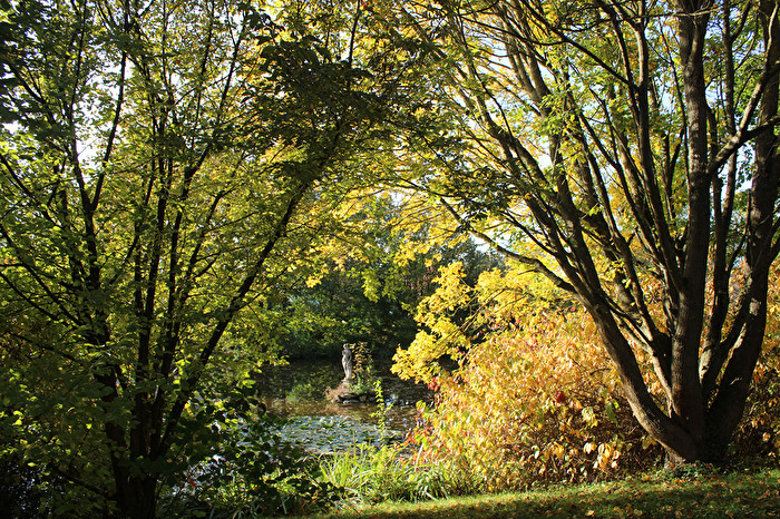 Herbstlicher Teich