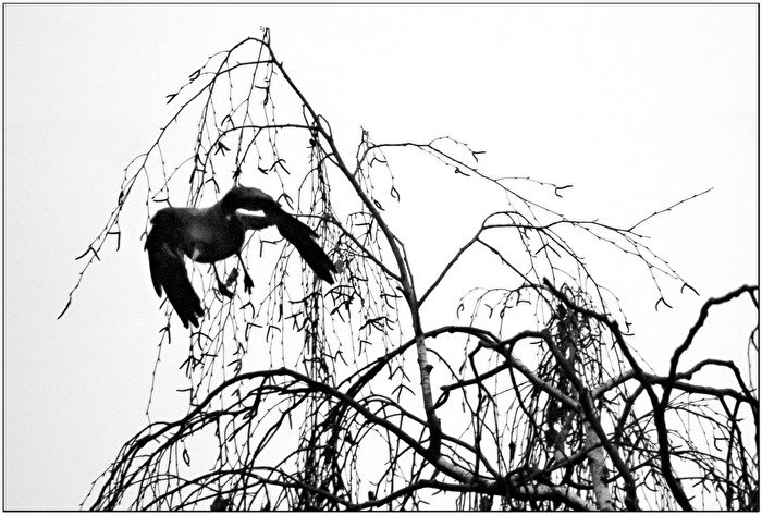 Ich bin dann mal weg...