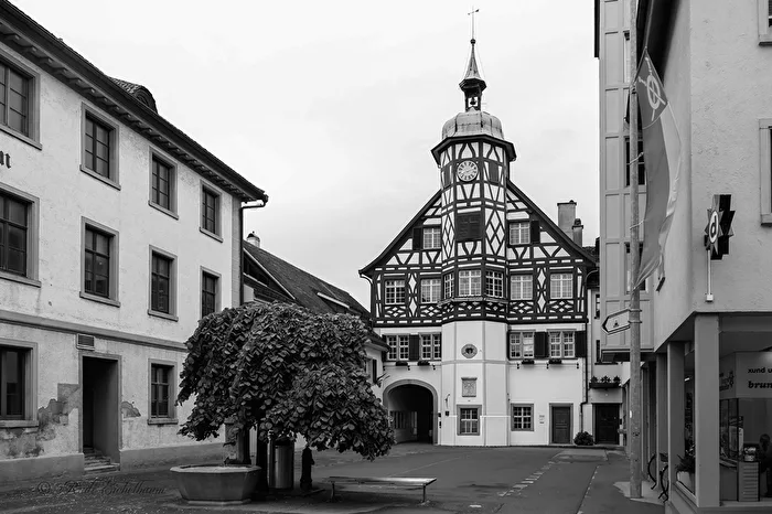 City view Steckborn (Switzerland)