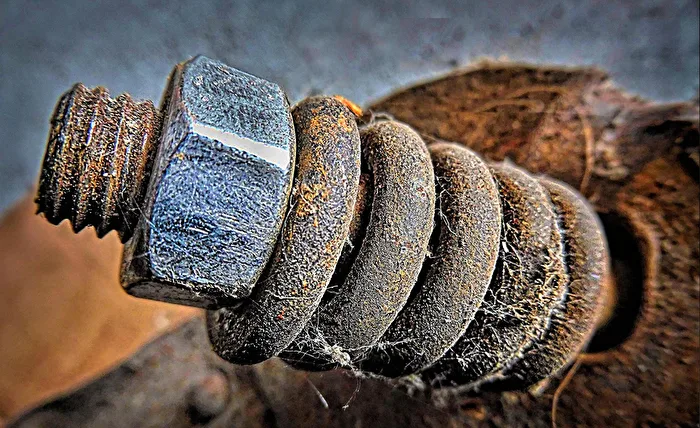 Rost