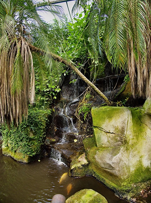 Der kleine Wasserfall