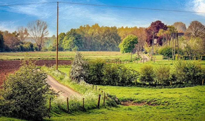 Feldweg