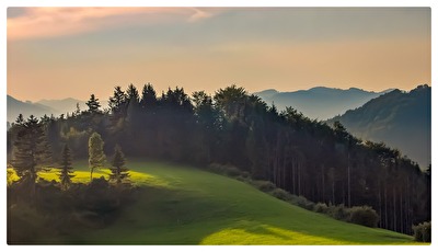 Morgenstimmung