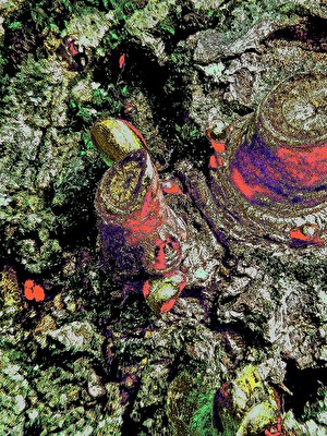 Photoirrealismus