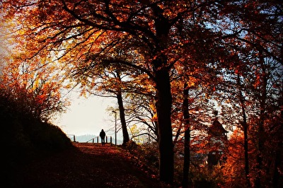 Herbstspaziergang
