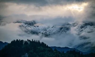 Herbstnebel
