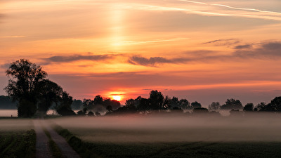 Nebel
