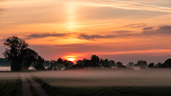 Nebel