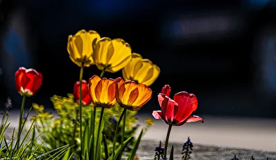 ohne Titel