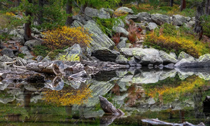 Spiegelung