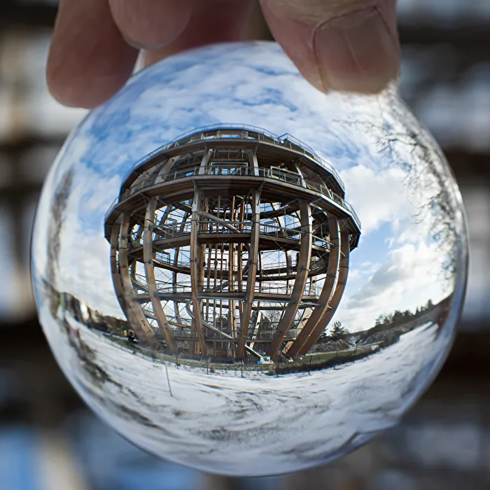 Round in the Round