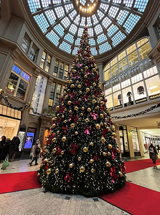 Weihnachtsbaum in der Mädler-Passage in Leipzig