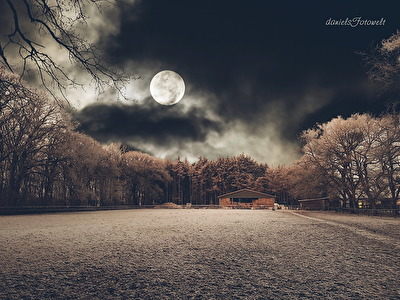 Kalte Nacht am Reitplatz