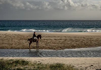 Reiter am Strand in Andalusien