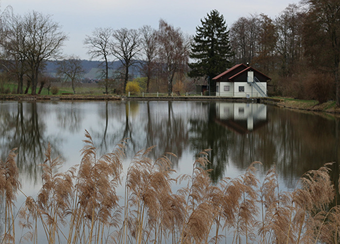 Winter / Frühling