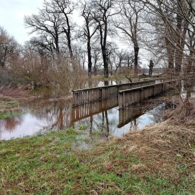 das Wasser der Elbe macht sich breit