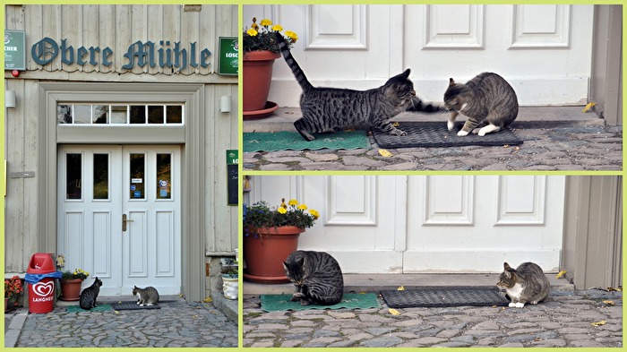 Zoff vor der Haustür