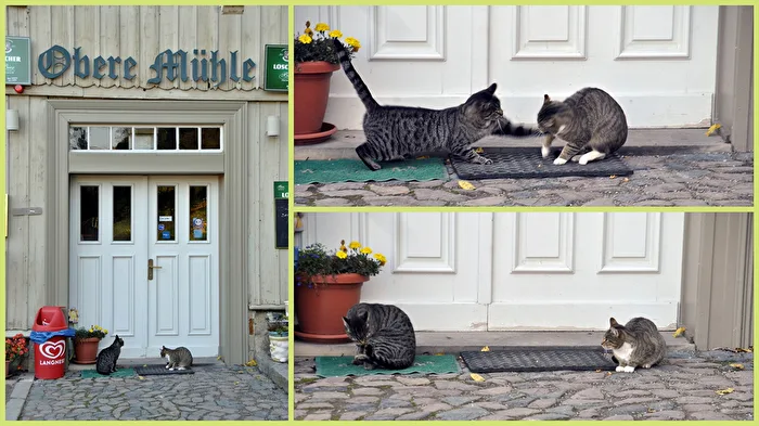 Zoff vor der Haustür