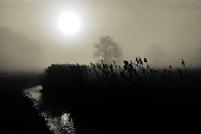 Seltsam, im Nebel zu wandern