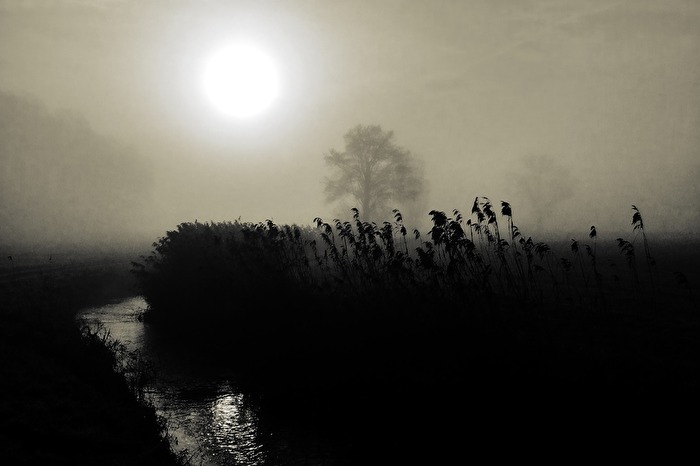 Seltsam, im Nebel zu wandern