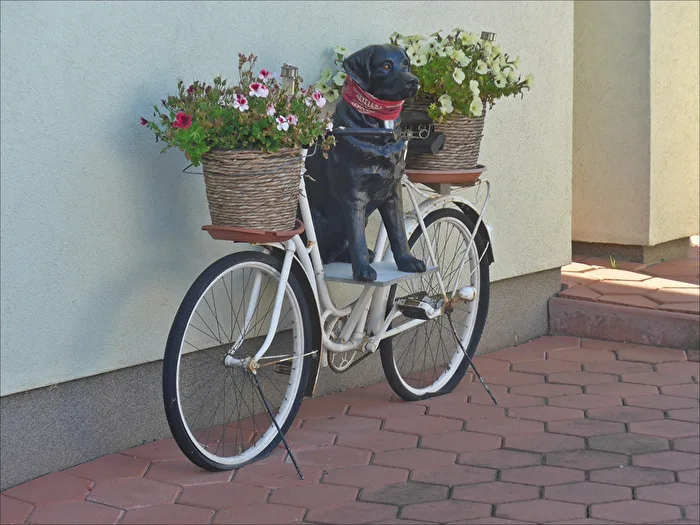Fahrrad