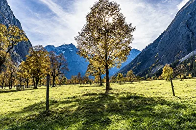 Herbst